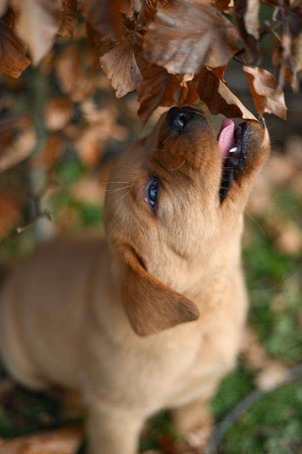 D-ErmlandMasuren_068