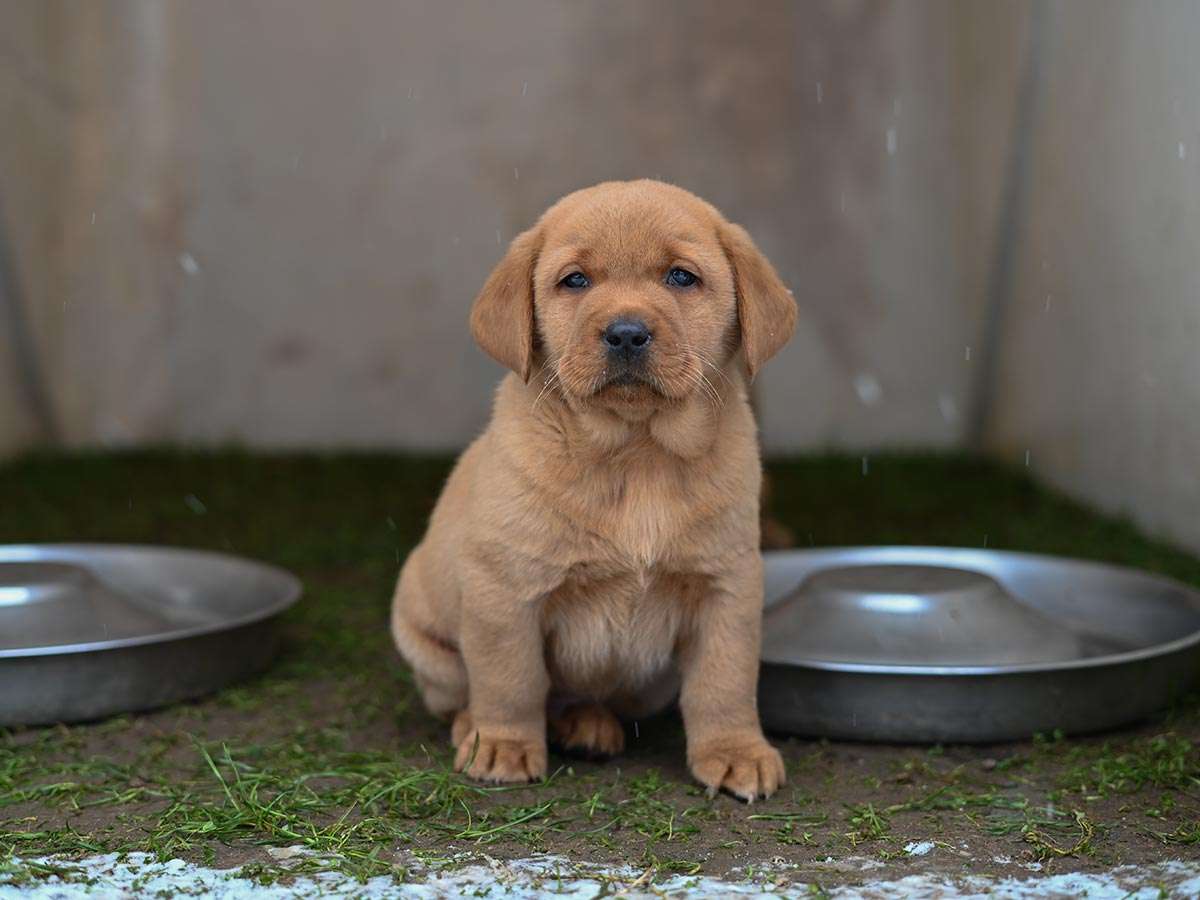 D-ErmlandMasuren_073