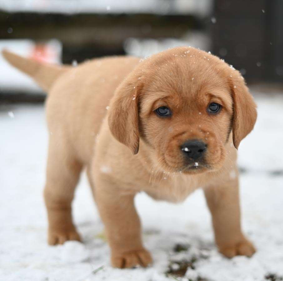 D-ErmlandMasuren_075