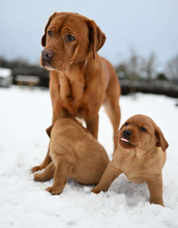 D-ErmlandMasuren_078