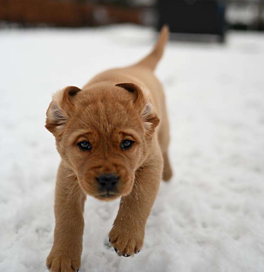 D-ErmlandMasuren_082