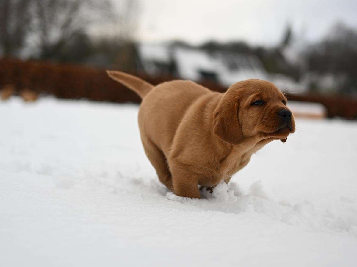 D-ErmlandMasuren_084