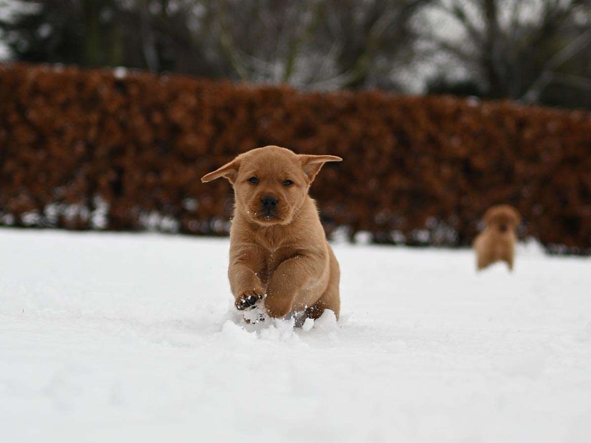 D-ErmlandMasuren_085