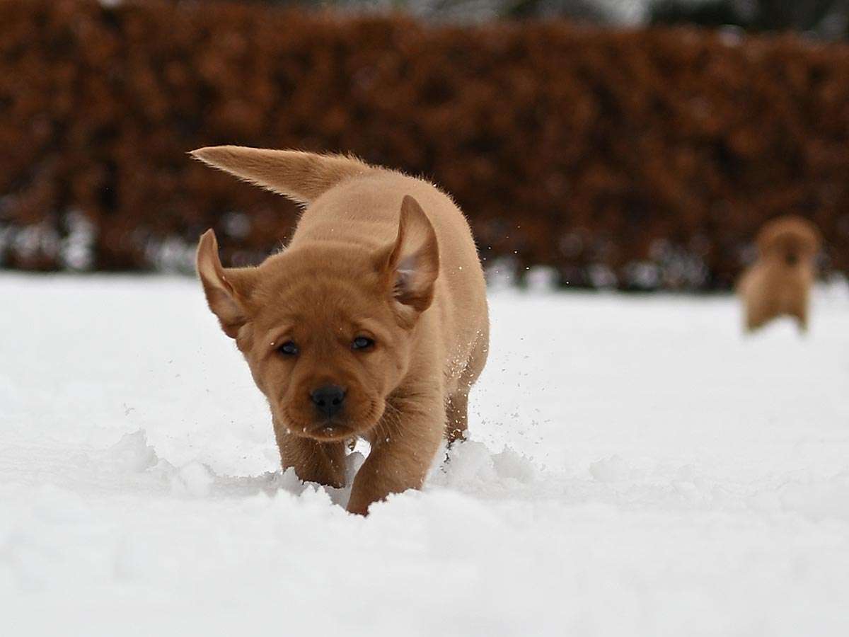 D-ErmlandMasuren_086