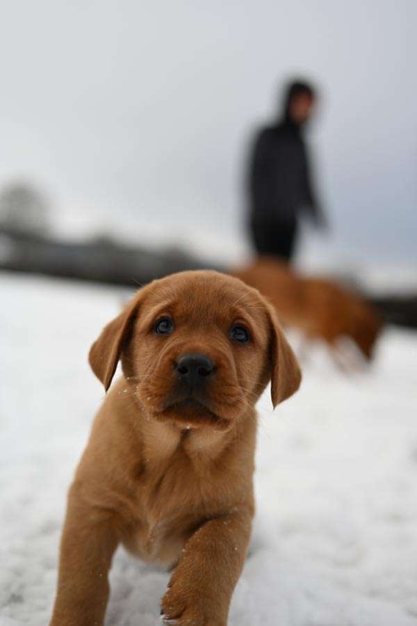 D-ErmlandMasuren_088