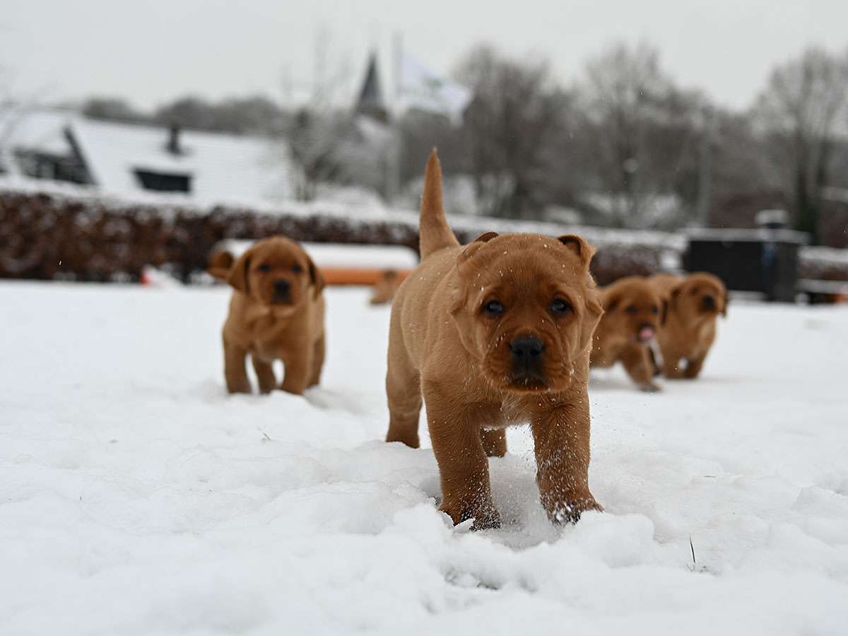 D-ErmlandMasuren_089