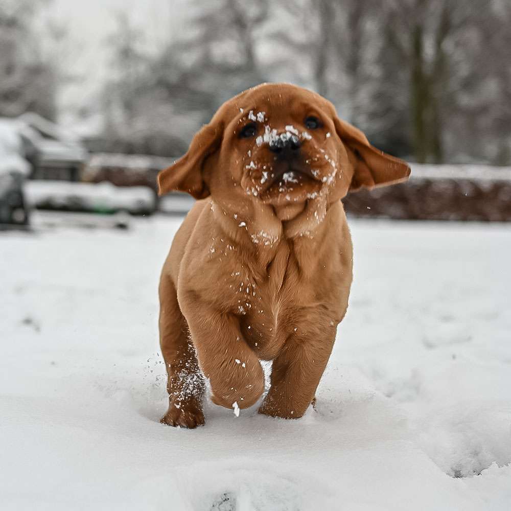 D-ErmlandMasuren_092