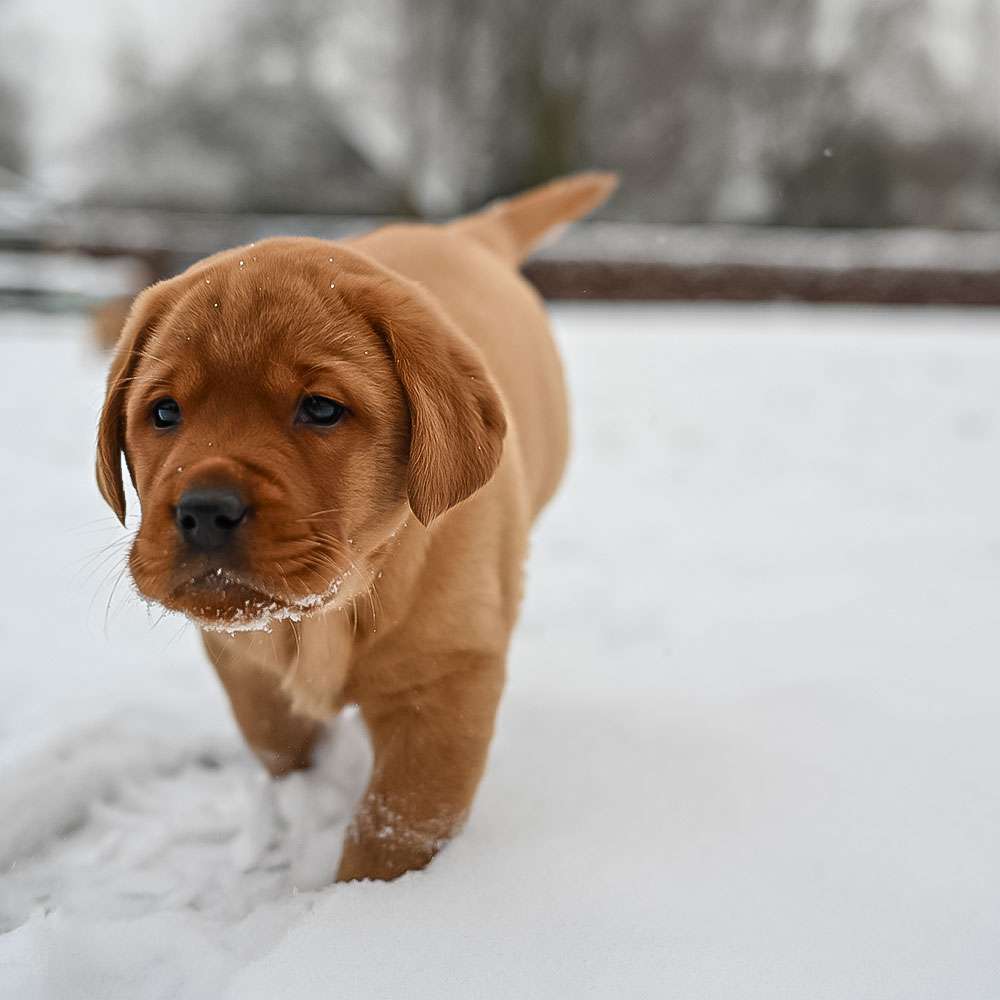 D-ErmlandMasuren_093