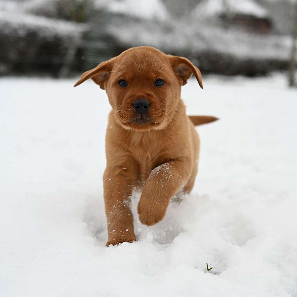 D-ErmlandMasuren_095