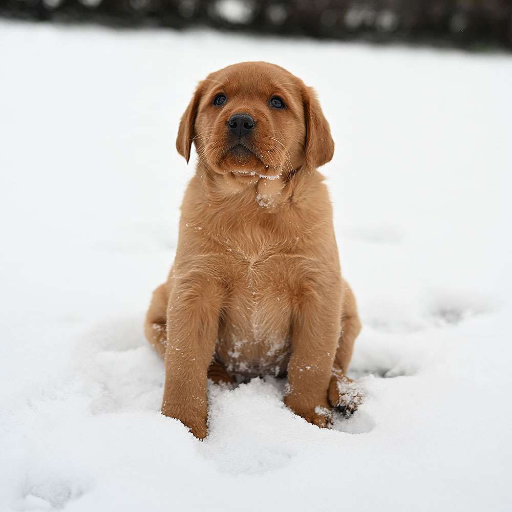 D-ErmlandMasuren_097