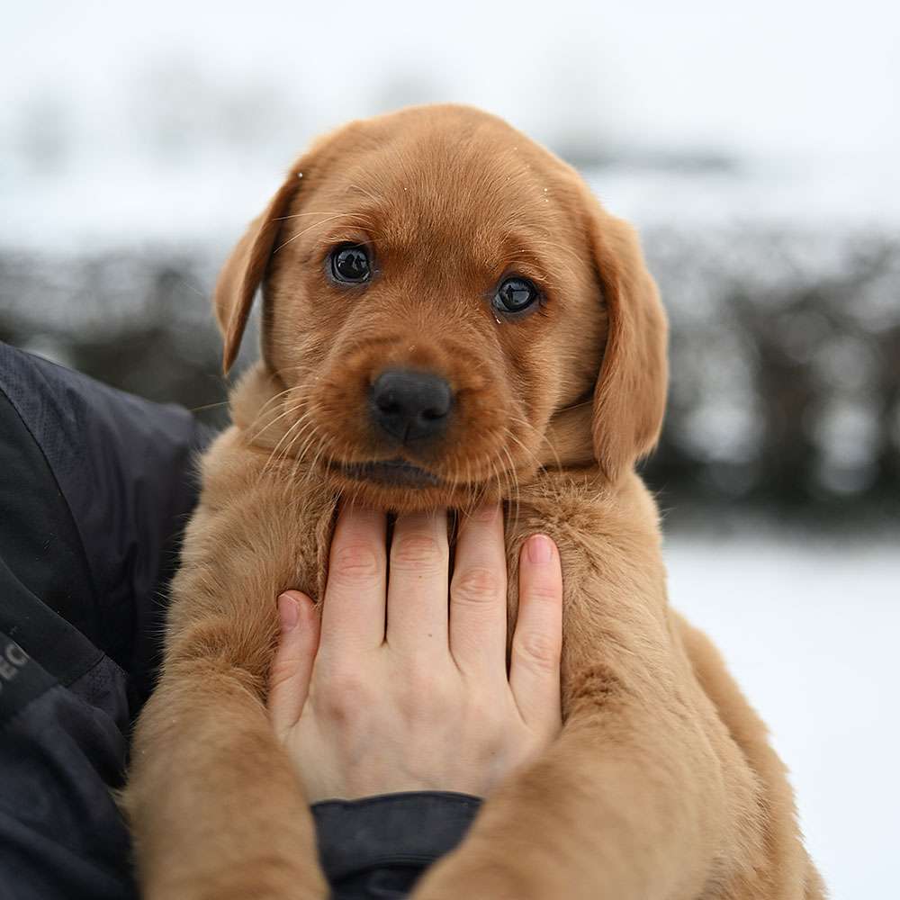 D-ErmlandMasuren_098