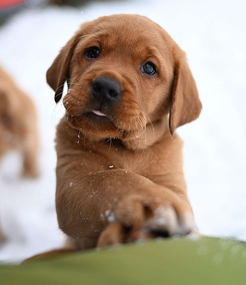 D-ErmlandMasuren_101