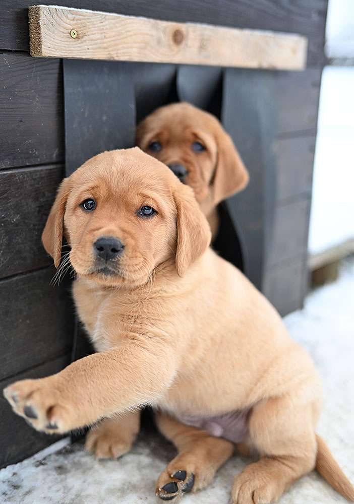 D-ErmlandMasuren_103